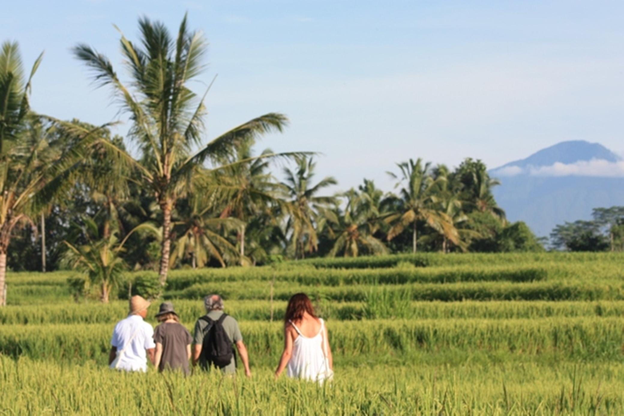 Wapa Di Ume Ubud Eksteriør bilde