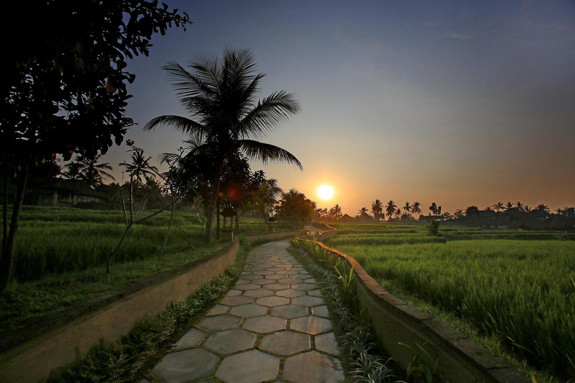 Wapa Di Ume Ubud Eksteriør bilde